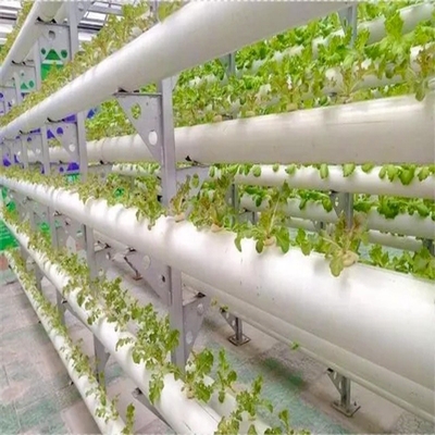 Sistema NFT hidropónico para el cultivo de jardines