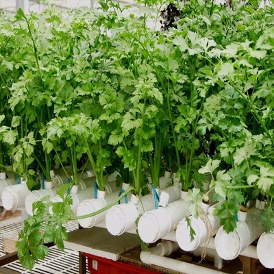 Sistema NFT hidropónico para el cultivo de jardines