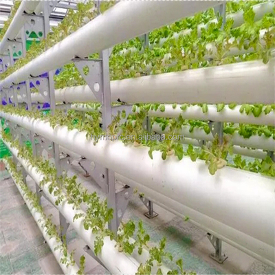 1/2 &quot;-12&quot; de diámetro Color blanco 90 mm 110 mm tubo de PVC para planta de lechuga hidropónica