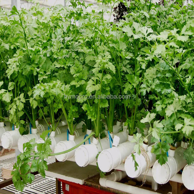 1/2 &quot;-12&quot; de diámetro Color blanco 90 mm 110 mm tubo de PVC para planta de lechuga hidropónica